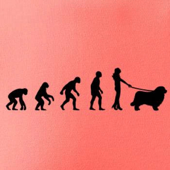 Evoluce pes Novofundlandský pes (muž-žena)