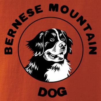 Bernese mountain dog v kruhu