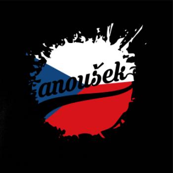 Hokej - fanoušek- Mistrovství světa v ledním hokeji 2024