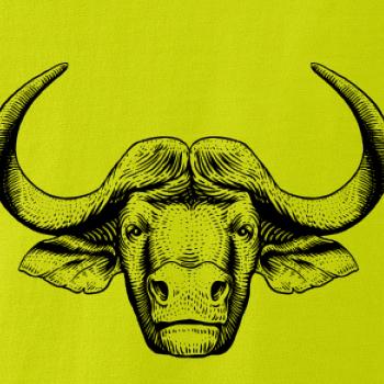 Hlava býka kreslená