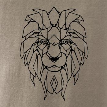 Geometrie - lev tvář