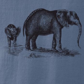 Slonice a slůně kreslené