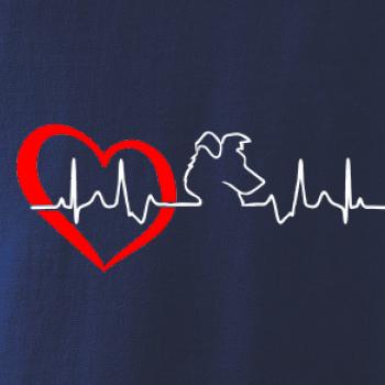 Border kolie EKG Border kolie EKG