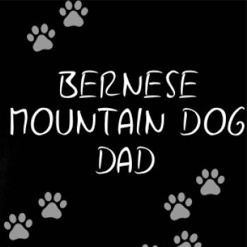 Bernese Mountain Dog dad  (Bernský salašnický pes) (Reflexní tlapky)