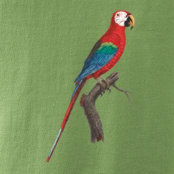 Papoušek červený na větvi