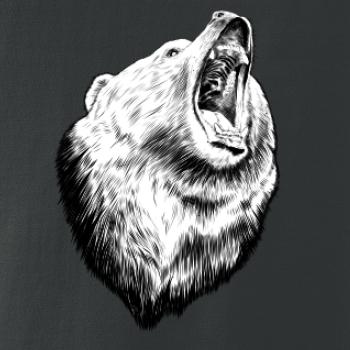 Medvěd trošku naštvaný