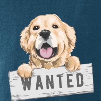 Zlatý retriever - štěně wanted Zlatý retriever - štěně wanted