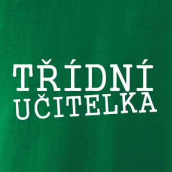 Třídní učitelka