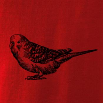 Tužkou kreslený Papoušek