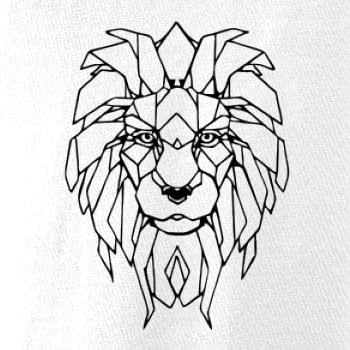 Geometrie - lev tvář