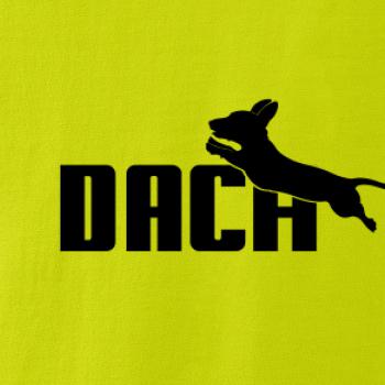 Jezevčík Dach Jezevčík Dach