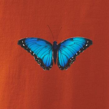 Motyl babočka Morpho Peleides