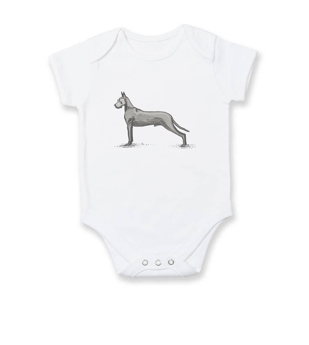 Vintage Great dane