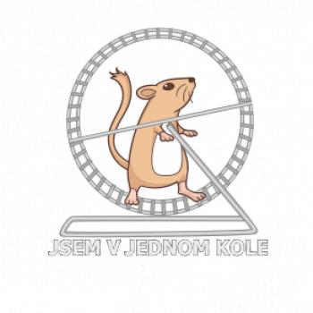 Jsem v jednom kole