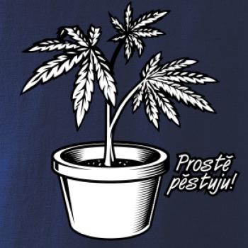 Konopi prostě pěstuju Konopi prostě pěstuju