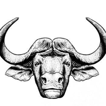 Hlava býka kreslená
