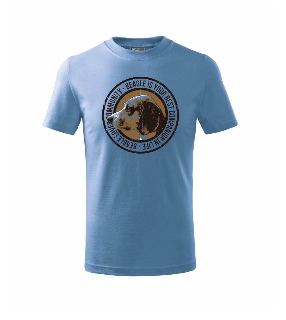 Dog beagle Dog beagle
