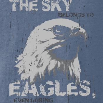 Eagle skystorm