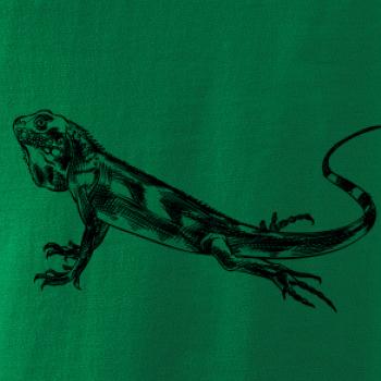 Tužkou kreslený Leguán 