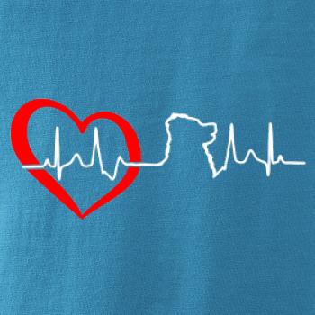 Bernský salašnický pes EKG