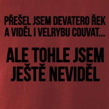 Viděl jsem velrybu couvat