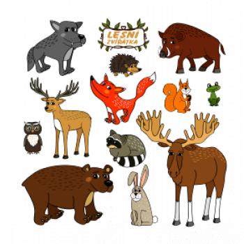Lesní zvířátka