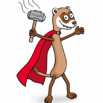 Tchoř jako Thor (Hana-creative)