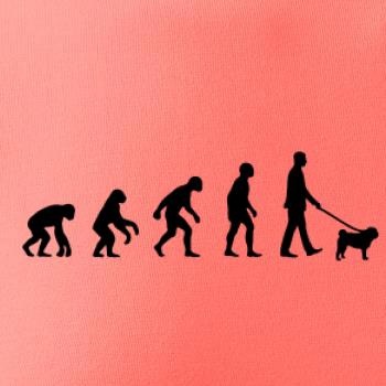 Evoluce pes Mops (muž-žena)