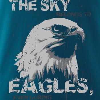 Eagle skystorm