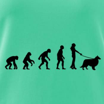 Evoluce pes Sheltie (muž-žena)