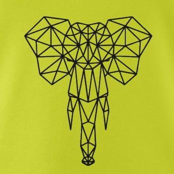 Geometrie - slon chobot