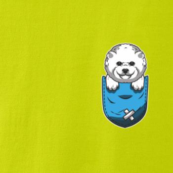 Bišonek v kapsičce