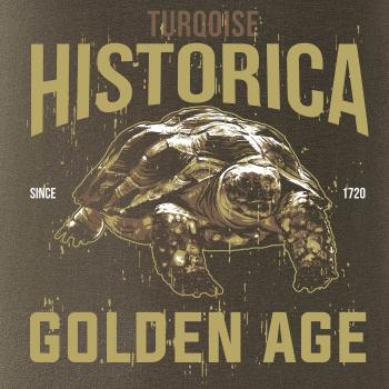 Turtle age