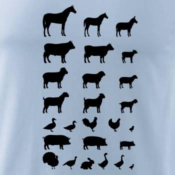 Zvířátka z vesnice