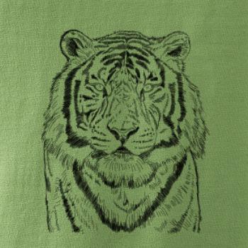 Tygr skica
