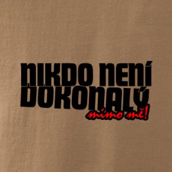 Nikdo není dokonalý mimo mě