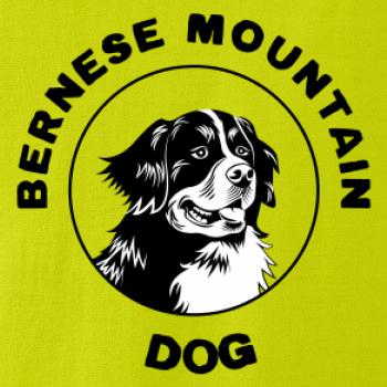 Bernese mountain dog v kruhu