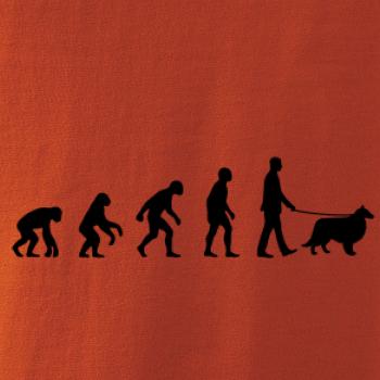 Evoluce pes Sheltie (muž-žena)