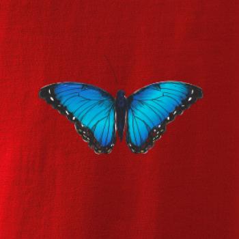 Motyl babočka Morpho Peleides