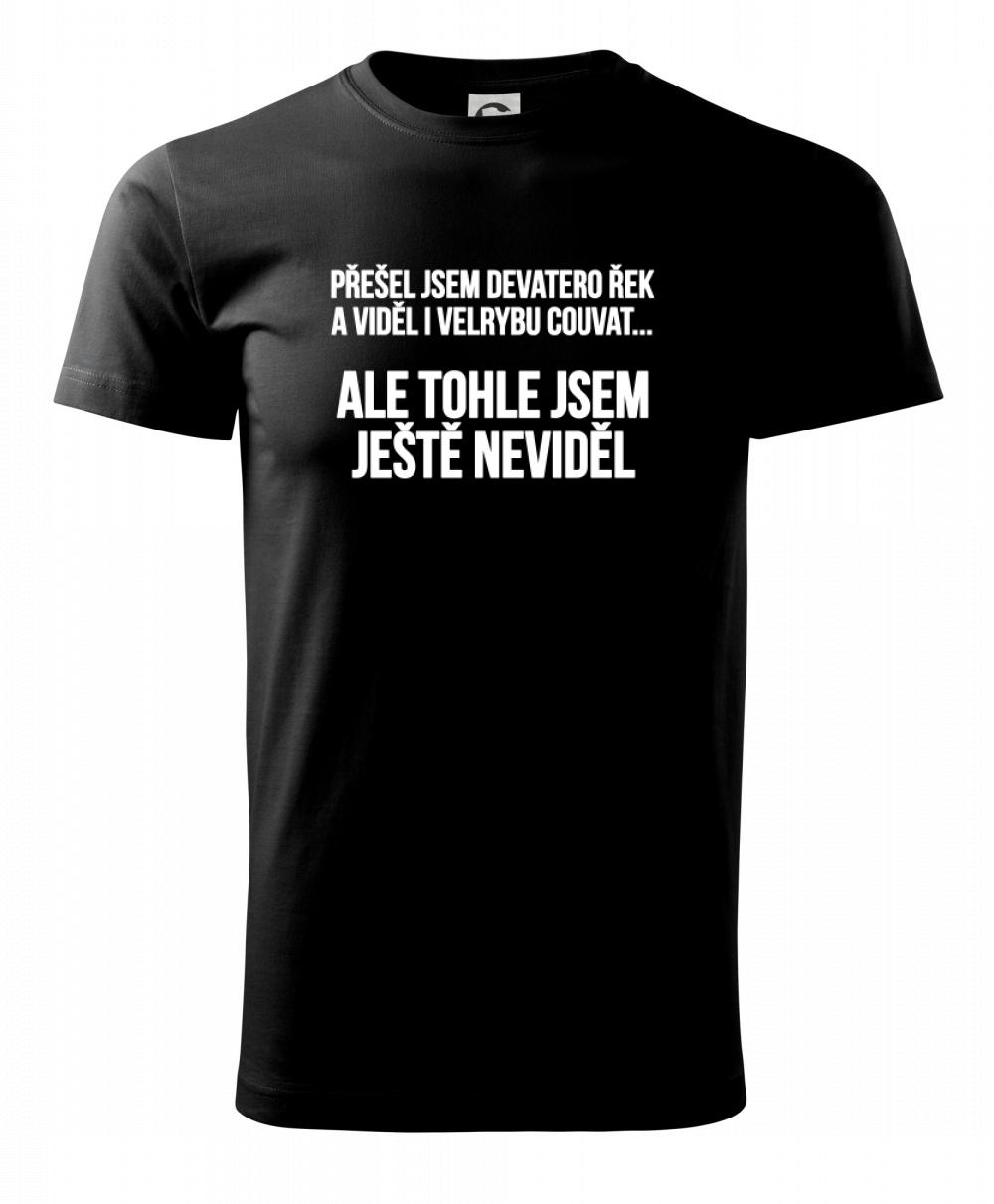 Viděl jsem velrybu couvat Viděl jsem velrybu couvat