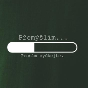 Přemýšlím Přemýšlím