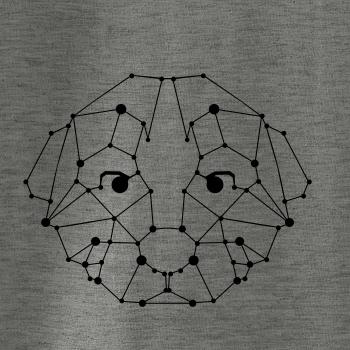 Štěně - Geometrie