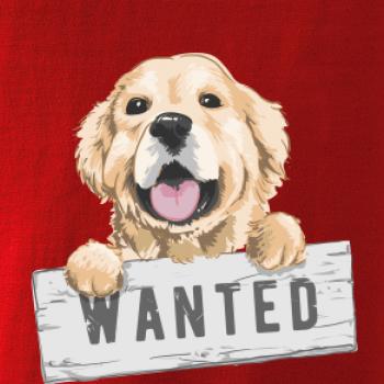 Zlatý retriever - štěně wanted
