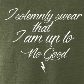 I solemnly swear that I'm up to no good