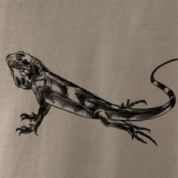 Tužkou kreslený Leguán 