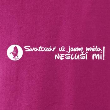Svatozář už jsem měla, nesluší mi! Svatozář už jsem měla, nesluší mi!