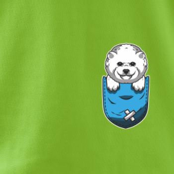 Bišonek v kapsičce