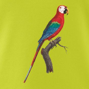 Papoušek červený na větvi