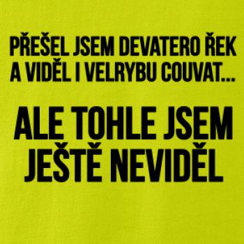 Viděl jsem velrybu couvat