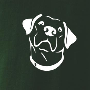 Labrador obrys